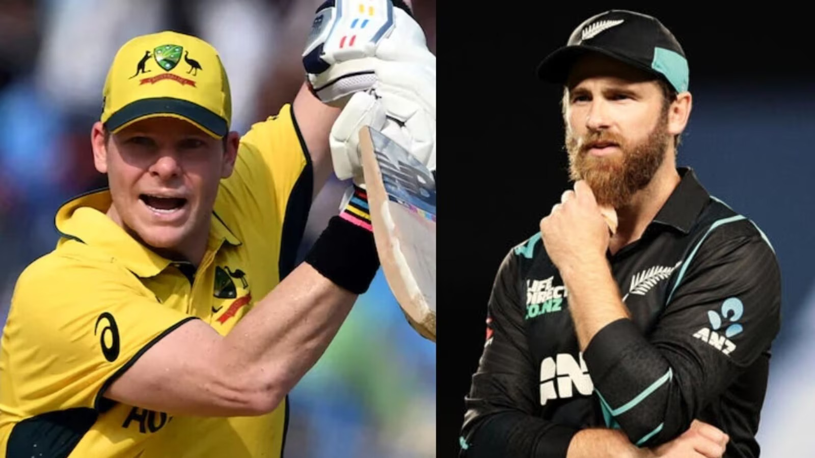 PSL 2025 में स्टीव स्मिथ और केन विलियमसन नहीं खेलेंगे..! इसके पीछे की बड़ी वजह जानें 