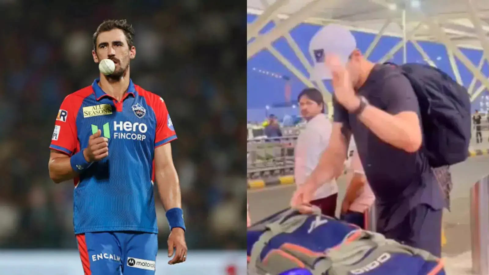 मिचेल स्टार्क भारतीय फैन पर बुरी तरह भड़के, गुस्से में ऐसी बात बोल दी, वीडियो वायरल हुआ