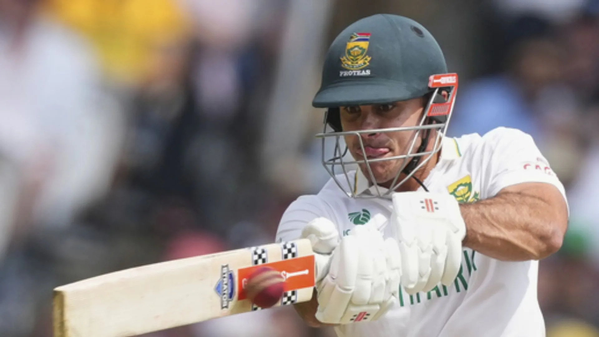 डेविड बेडिंघम ने डब्ल्यूटीसी फाइनल में दक्षिण अफ्रीका की स्थिति पर बात की, कहा - 'हम बहुत आश्वस्त हैं,